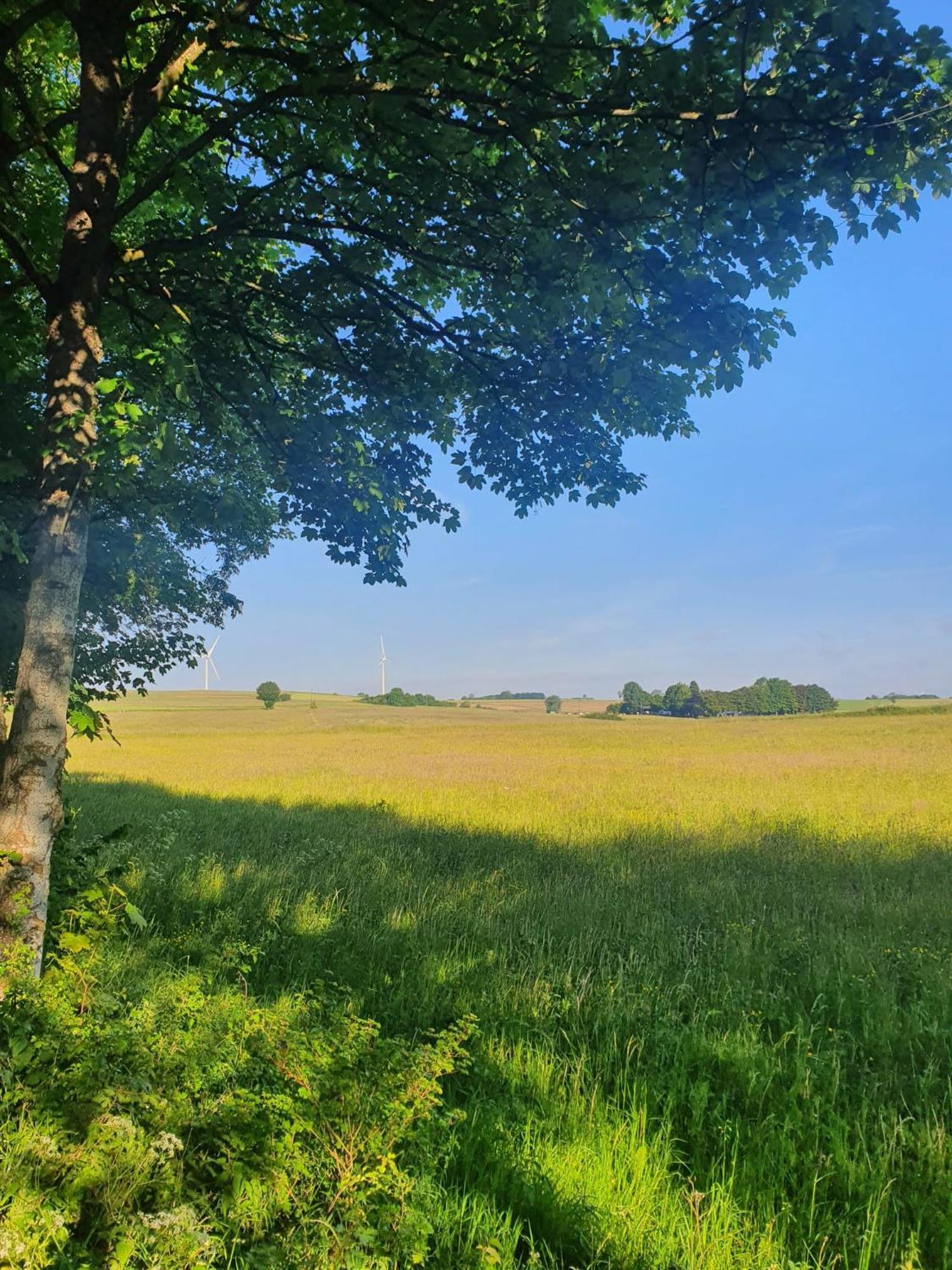 Schoene Aussicht Nettersheim Exterior foto